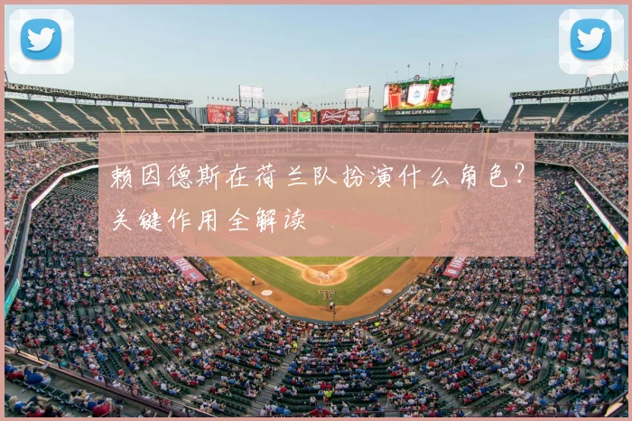 赖因德斯在荷兰队扮演什么角色?关键作用全解读