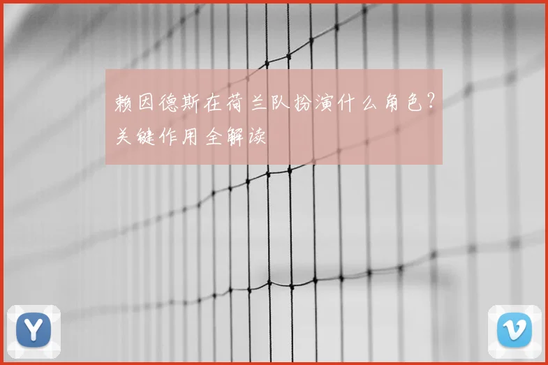 赖因德斯在荷兰队扮演什么角色？关键作用全解读